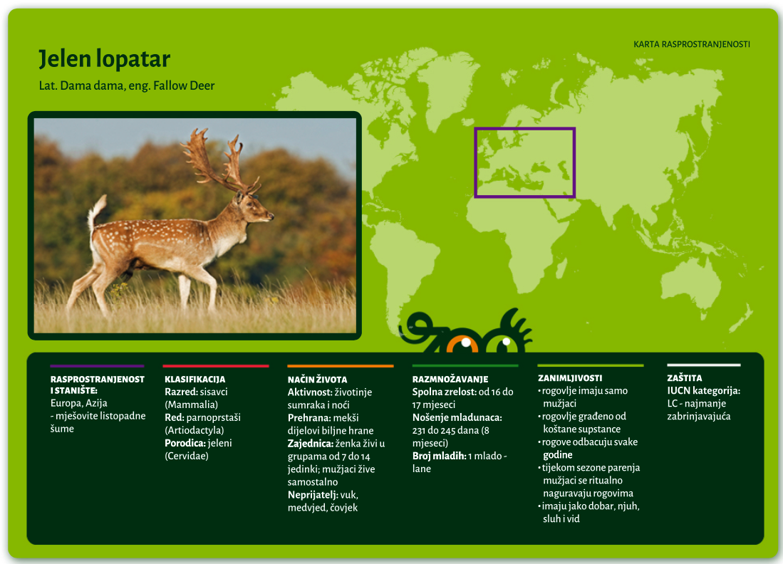 Jelen lopatar (Dama dama)